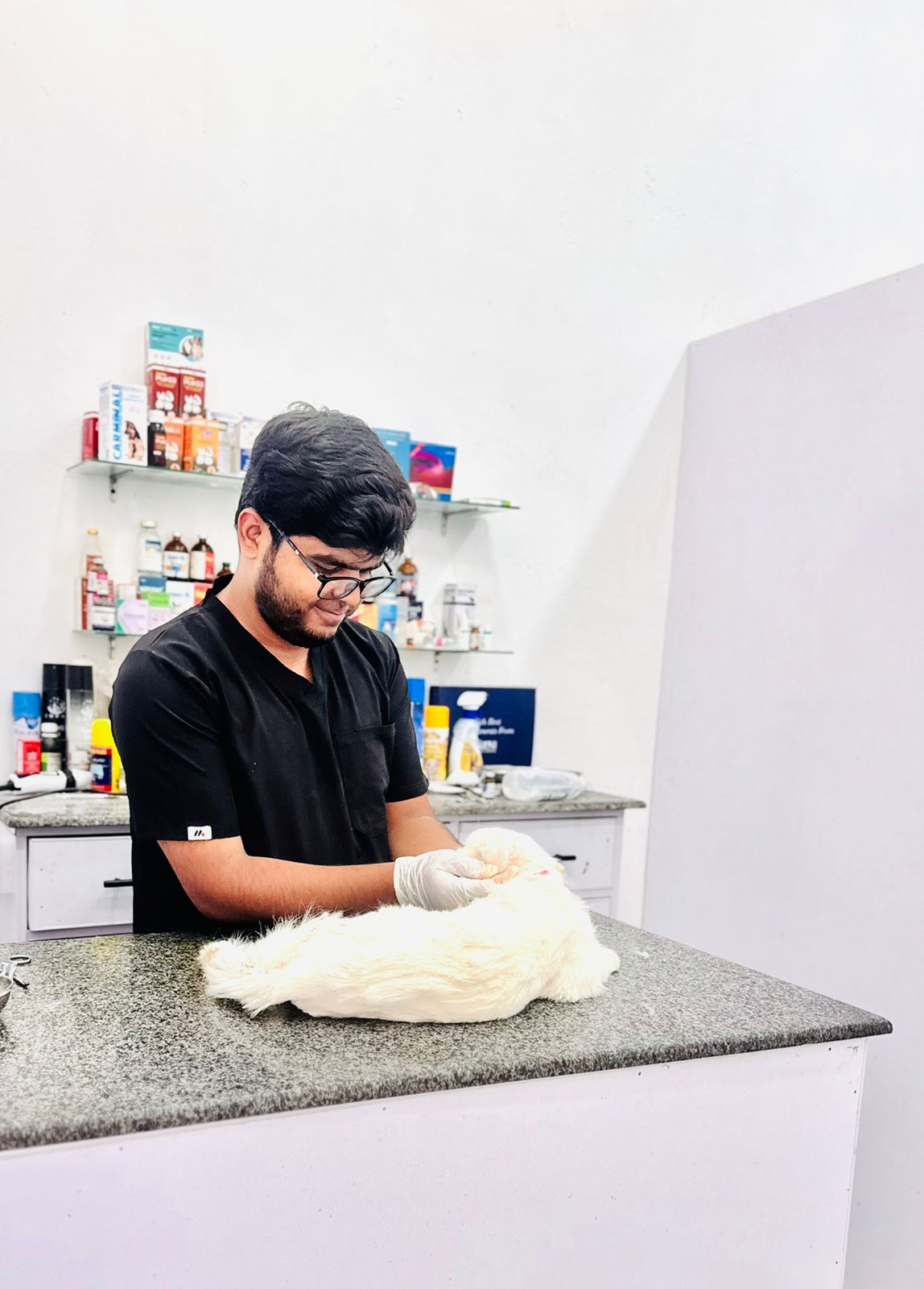 Dr. Mughees examining a cat at Mughees Pet Clinic